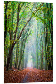 Foam board print Forest path through the seasons