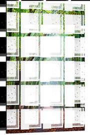 Magnettafel Waldweg durch die Jahreszeiten