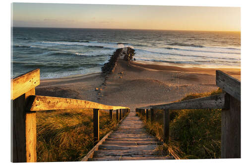 Acrylic print The way to the beach - Denmark