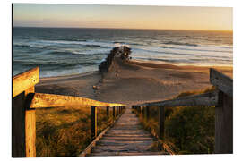 Aluminium print The way to the beach - Denmark - Daniel Gastager