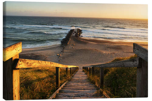 Canvas print The way to the beach - Denmark