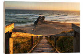 Quadro de madeira The way to the beach - Denmark - Daniel Gastager