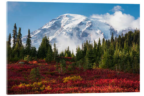 Acrylic print Autumn in Mount Rainier National Park