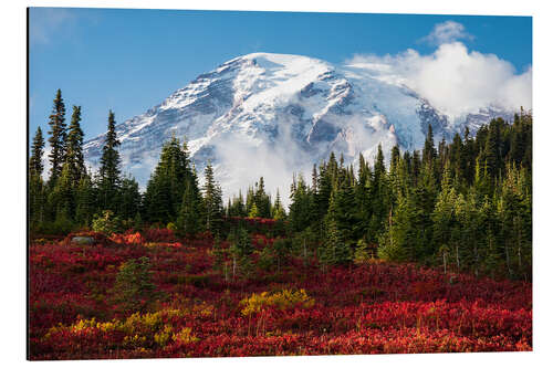 Aluminium print Autumn in Mount Rainier National Park