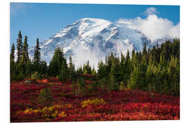 Foam board print Autumn in Mount Rainier National Park