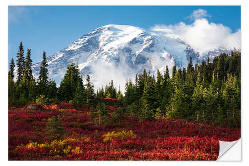 Vinilo para la pared Autumn in Mount Rainier National Park