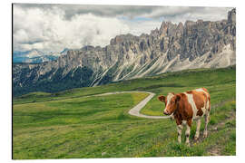 Aluminium print Meadow in the Dolomites