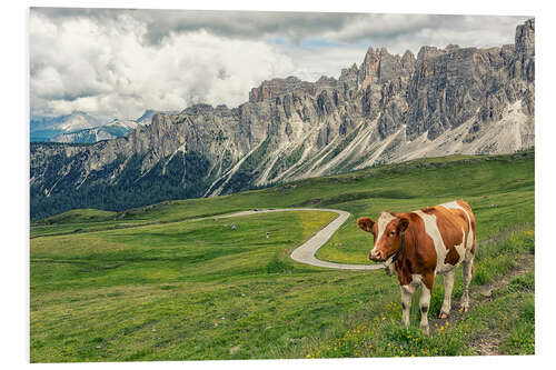 PVC-taulu Meadow in the Dolomites