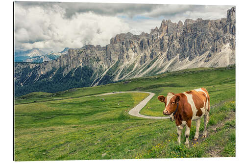 Galleritryk Meadow in the Dolomites