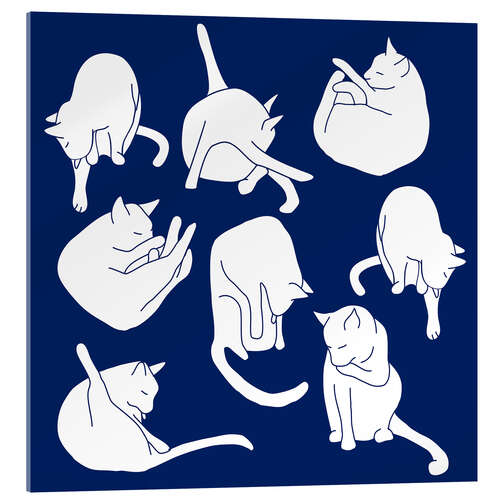 Stampa su vetro acrilico White Cats on Indigo Blue