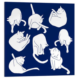 Gallery print White Cats on Indigo Blue