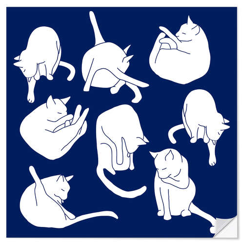 Naklejka na ścianę White Cats on Indigo Blue