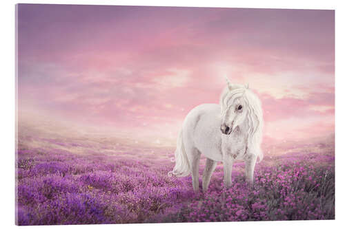 Akryylilasitaulu White unicorn in pink field