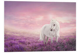 Foam board print White unicorn in pink field