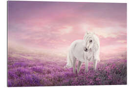 Gallery print White unicorn in pink field