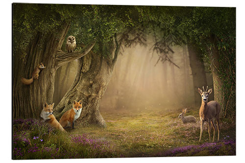 Aluminium print Enchanted Forest