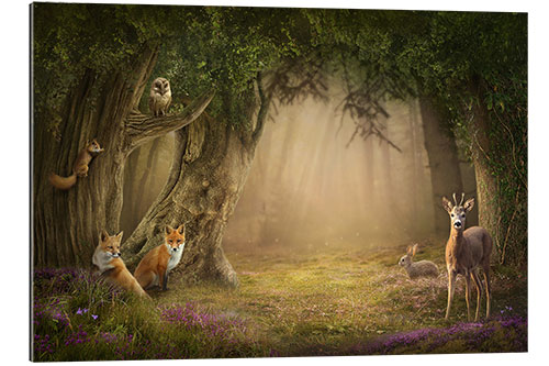 Gallery print Enchanted Forest