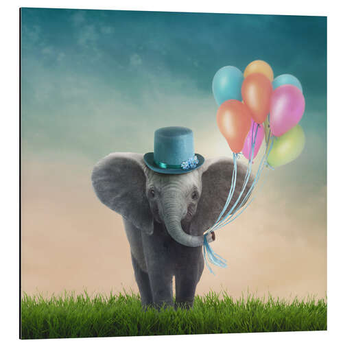 Aluminium print Little Elephant with Balloons