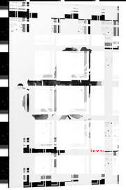 Magnettafel Hibiskus