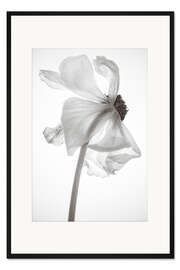 Gerahmter Kunstdruck Le Fleur Mono