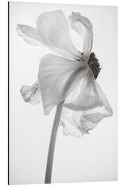 Magnettafel Le Fleur Mono