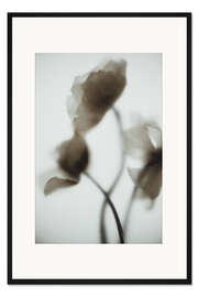 Gerahmter Kunstdruck Dancing Poppies