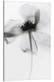 Magnettafel Mono Poppy