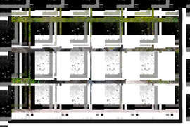 Gerahmter Kunstdruck Breitmaulnashörner im Krüger Nationalpark