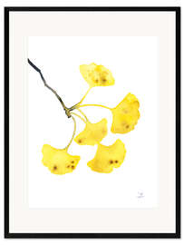 Framed art print Golden Ginkgo