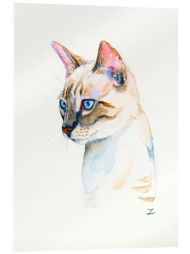 Acrylglas print Lynx Point Siamese Kitten