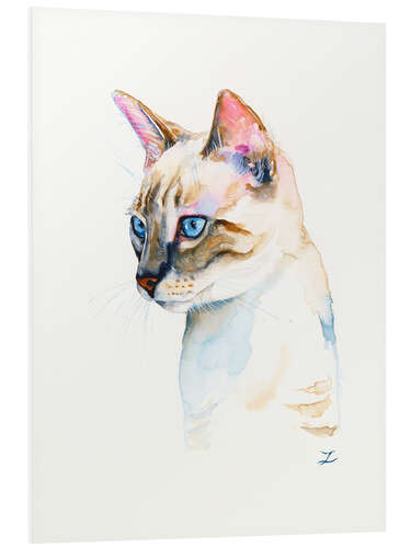 Foam board print Lynx Point Siamese Kitten