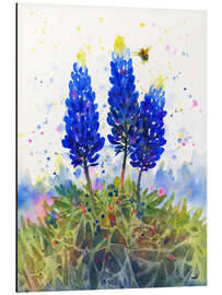 Aluminium print Bluebonnets and Bumblebee