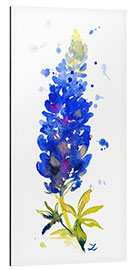 Aluminium print Bluebonnet