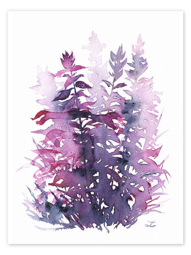 Poster Magenta Salvia