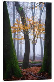 Canvastavla Colorful winter forest in the Netherlands