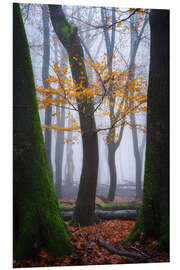 PVC print Colorful winter forest in the Netherlands