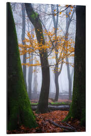 Tableau en plexi-alu Colorful winter forest in the Netherlands