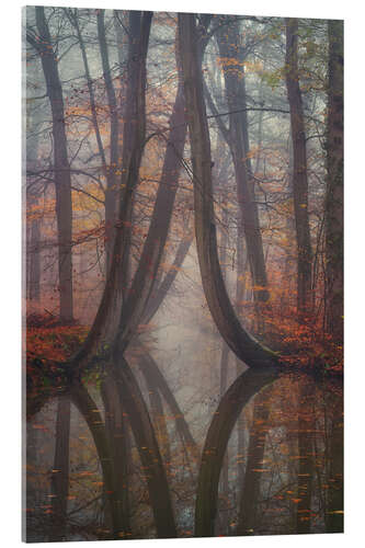 Acrylglas print Bent for life