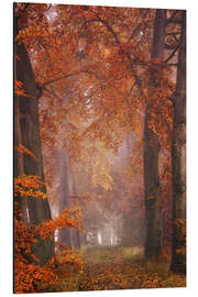 Magnettafel Farbexplosion im Wald