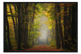 Gerahmter Kunstdruck Schöner Herbstwald in den Niederlanden