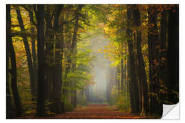 Selvklebende plakat Beautiful autumn forest in the Netherlands