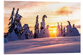 Acrylglasbild Gefrorener verschneiter Wald bei Sonnenuntergang, Finnland