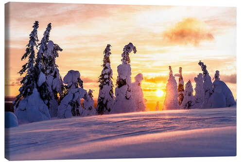 Canvas print Frozen snowy forest at sunset, Finland