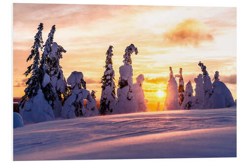 Hartschaumbild Gefrorener verschneiter Wald bei Sonnenuntergang, Finnland