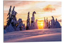 Tableau en plexi-alu Frozen snowy forest at sunset, Finland