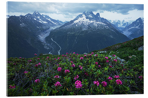 Acrylic print Blue Hour in the French Alps