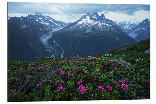 Stampa su alluminio Blue Hour in the French Alps