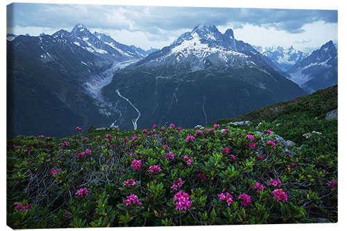 Canvas print Blue Hour in the French Alps