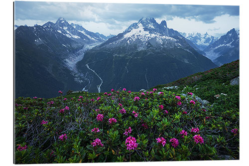 Cuadro de plexi-alu Blue Hour in the French Alps