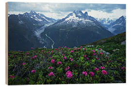 Hout print Blue Hour in the French Alps